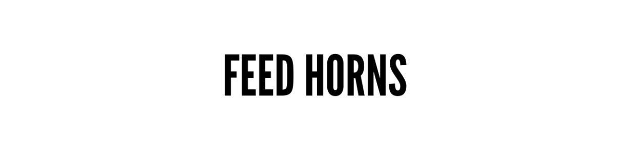 Feed Horns